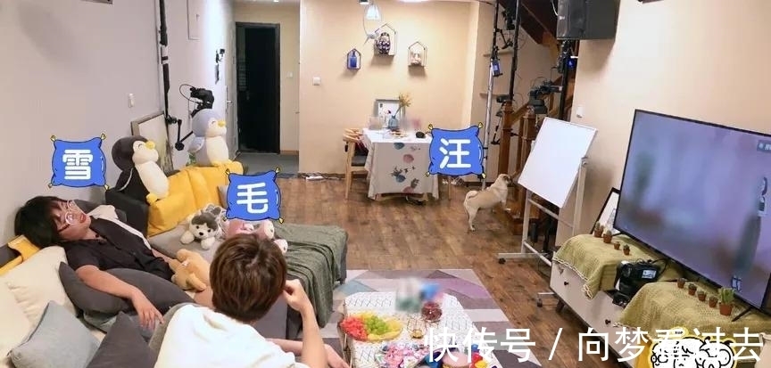 毛不易和李雪琴,你俩是不是忘了还有个汪苏泷?