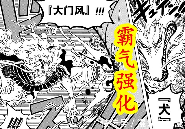 橡胶果实|海贼王:月狮形态除了唤醒野性,还能干嘛?犬岚生命卡给出答案