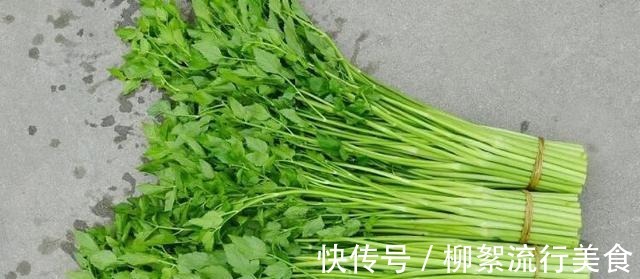鱼腥草|你知道多少种野菜,让你轻松了解野菜的各种秘密,快来看看吧!