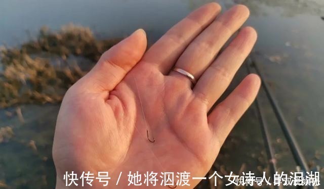 伊势尼|野钓别只用伊势尼!想大小通杀,还是这几种鱼钩效果更好