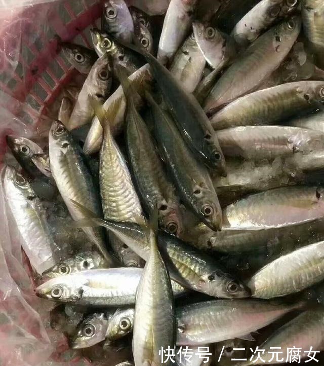 行家|以后去市场买这5种鱼,连鱼铺老板都会夸你是行家