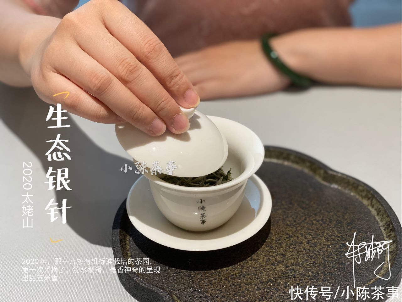 冲泡白茶|买大还是买小？买厚还是买薄？有关白瓷盖碗的答案都在这了