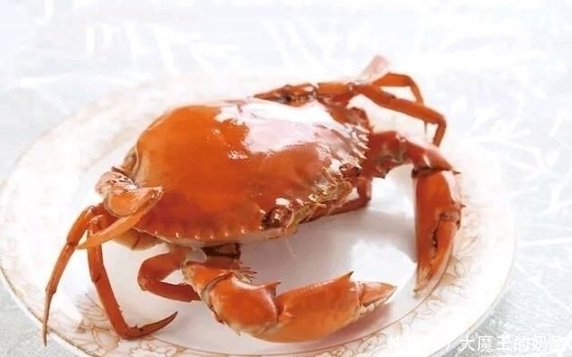 世界|世界上“最贵”螃蟹,就连帝王蟹都自愧不如,只有土豪吃得起