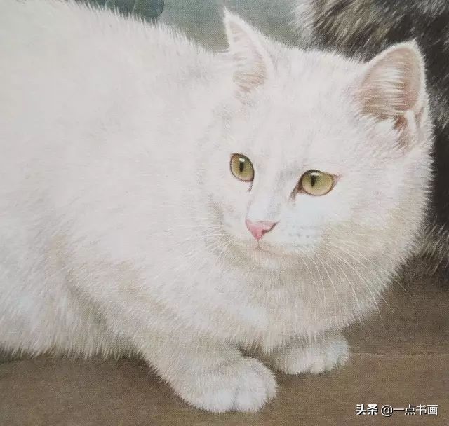 步骤|工笔猫的画法步骤