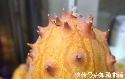 味道|原产于非洲的水果，引进我国后不受重视，现在才知味道好营养高