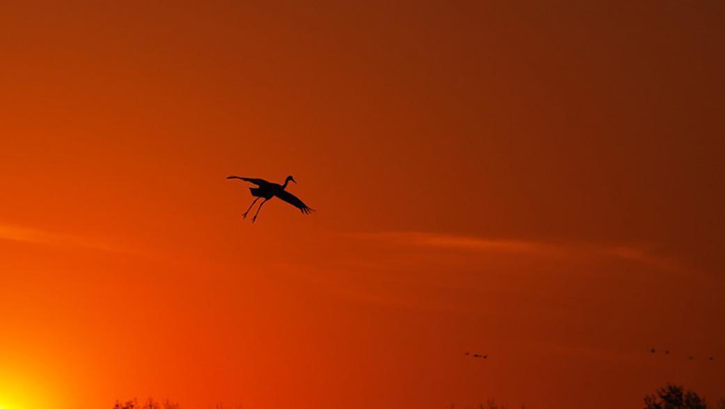 葛溪驿$苏轼惨遭贬谪,写下落寞之词,末句成就了一首知名爱情歌曲