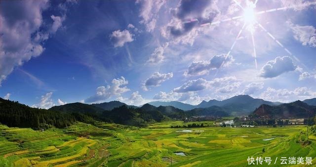 《伏天氏》叶伏天假死，花解语觉醒，书友关心夏青鸢