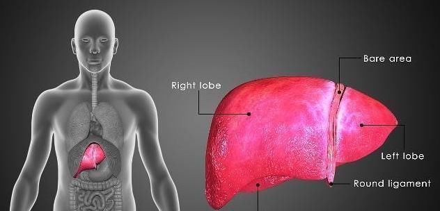 肝癌早期|睡觉时若在两个时间“醒来”,可能是肝癌早期信号,不可轻视