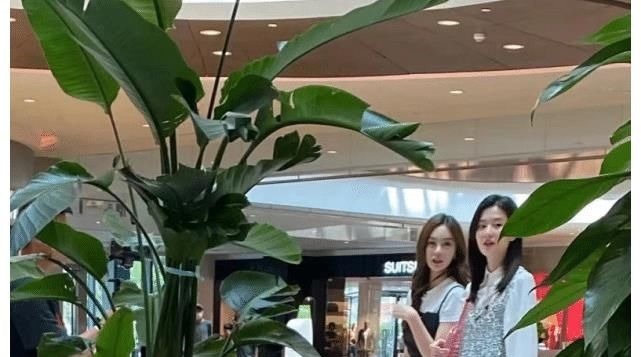 沈梦辰乔欣录节目被质疑假吃,网友帮澄清:几乎吃完,很真诚