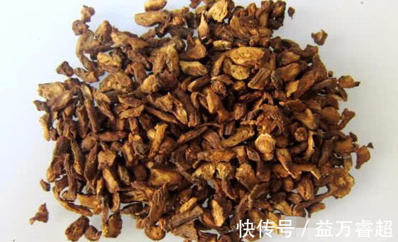 抗生素|常吃以下3种食物,清热解毒、消肿散结,还能预防妇科病