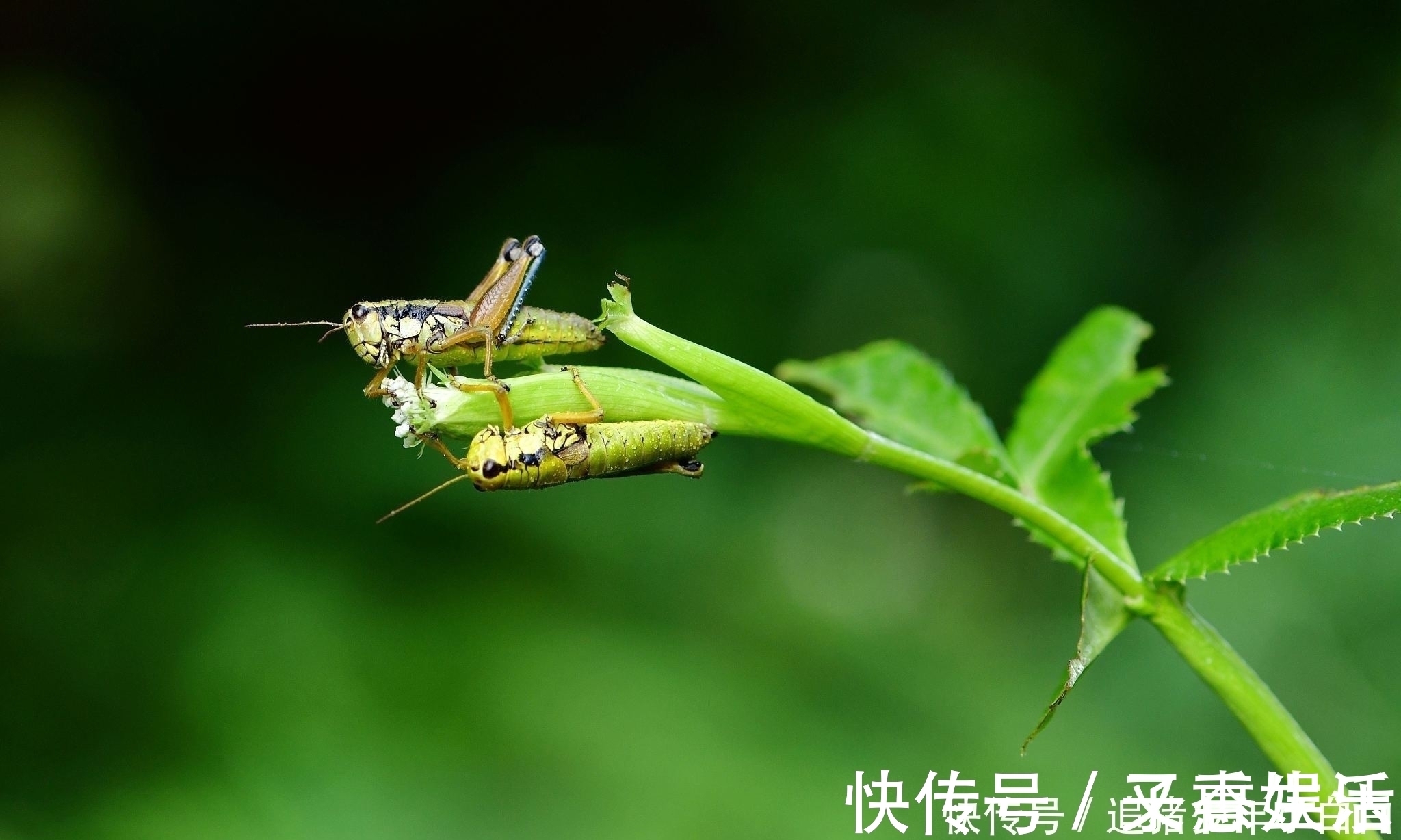 磨难#曾经很善良的人,为什么变得不再善良了?大多是因为这两个原因