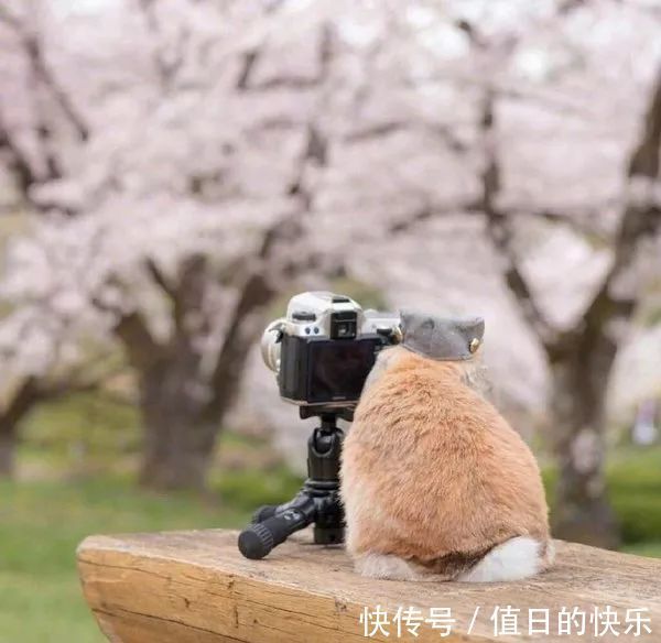 |幽默笑话:老熟人!