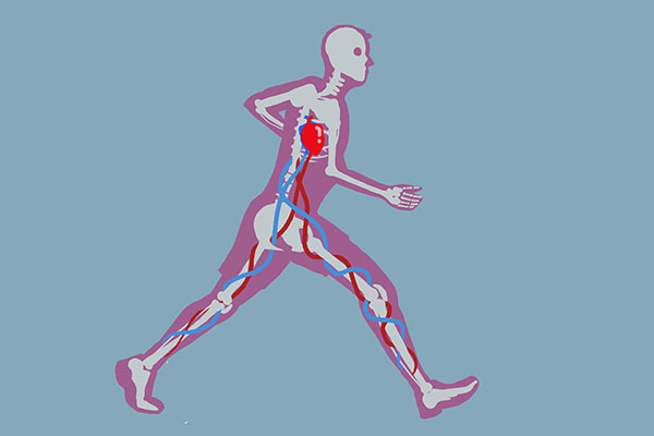 晨跑|40岁男子,坚持晨跑一年,结果换来了什么身体变化,显而易见
