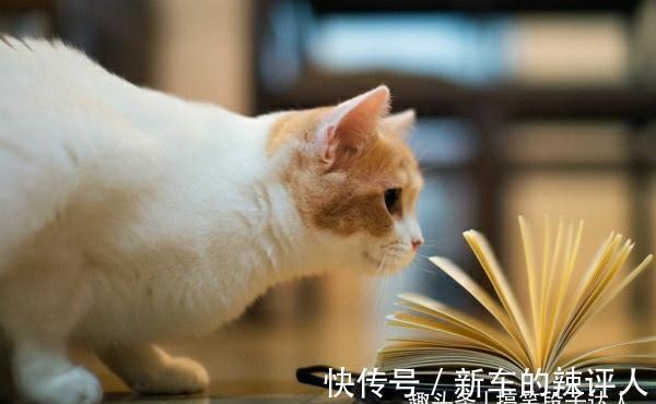 |搞笑段子:只要出门了,那就不叫休息日,那是工作日