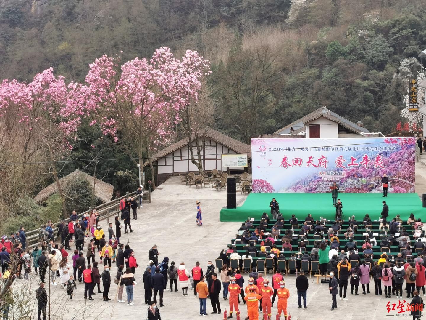 花花花花，漫山遍野开啦！北川辛夷花生态旅游节在九皇山开幕