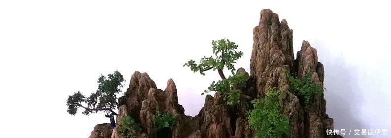 大爷用石头来养花,越养越值钱,有人出1000块也不卖!