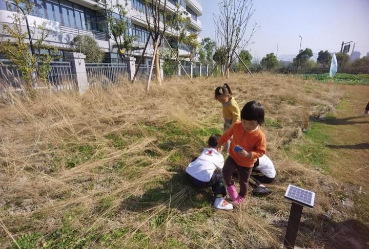 徒步秋游|徒步走，去秋游！新城实验第二幼儿园开着“小火车”走进运河农园