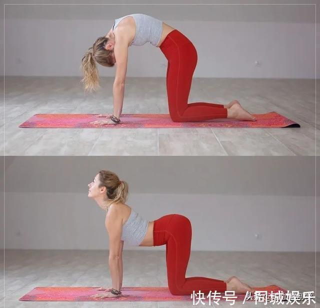 初学者|缓解腰背疼痛,初学者先做这10个简单的瑜伽动作就够了!