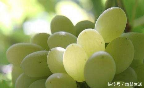 营养|人到中年想长寿,3种食物换着吃,营养丰富,增强体质,早吃早好