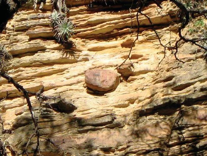 中科院南古所 3.5亿年前，地球这场超长“冻灾”谁造成的？