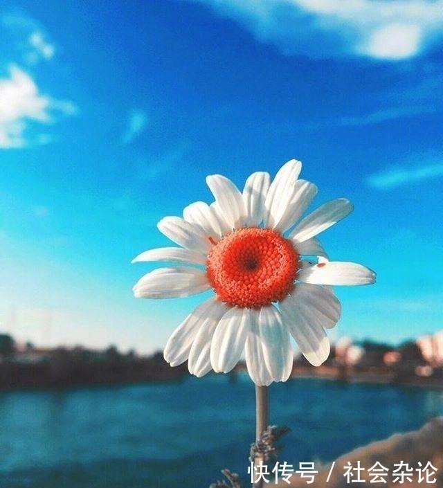 人生|令人受益匪浅的一段话,经典有理,能改变自己!