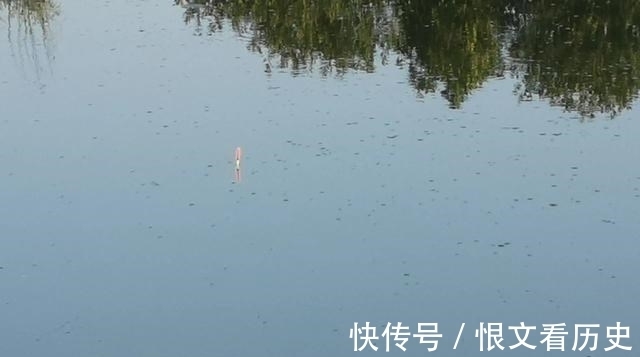 钓友|学会调漂反而钓不到鱼了?别误会,那是因为你只学了一半!