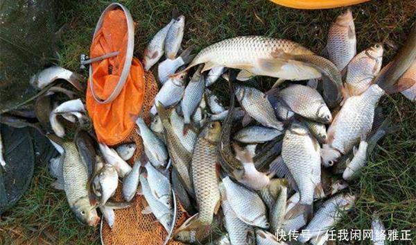 鲫鱼|冬季钓鲫鱼,先别着急下竿,两大策略帮你找鱼窝,不愁钓不到鱼!