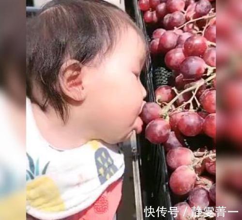 价签|具有“吃货潜质”的萌娃因逛超市的这个举动走红,网友:快给娃买