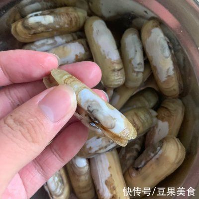 小米辣|吃一次就念念不忘的椒盐半蛏