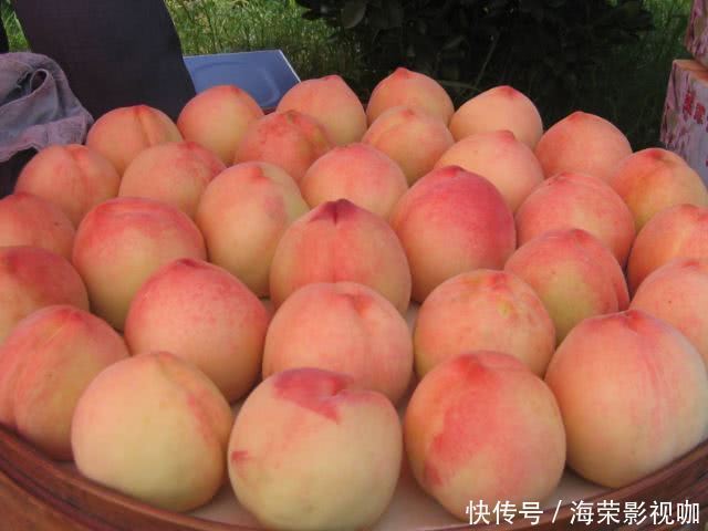 怀孕吃水果好处多,但是那3种水果孕妈还是尽量少吃,会影响宝宝