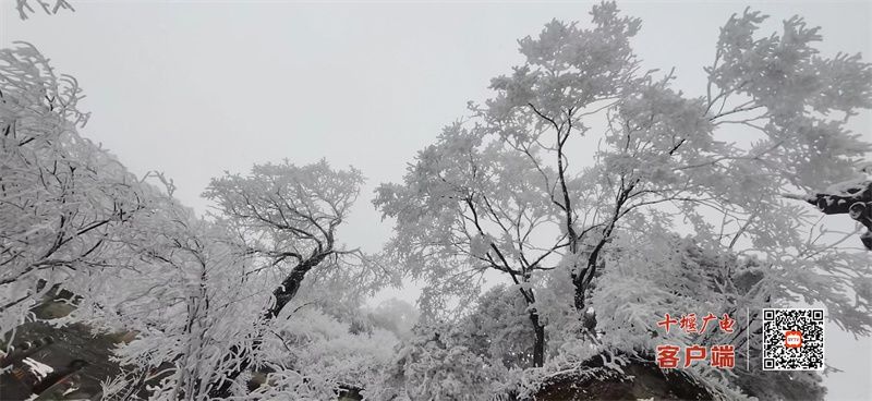 武当山|武当山24节气养生信——雨水