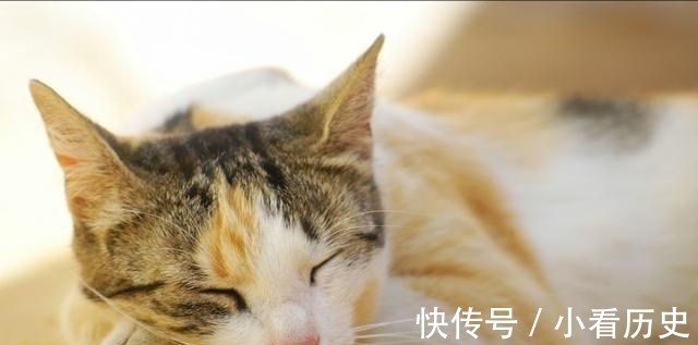 槲皮素|高血压“病因”找到了,医生:一旦出现5种“异常”,警惕脑梗!