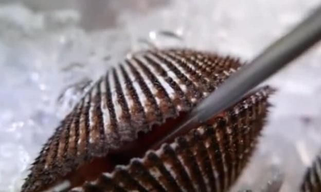 种海鲜|会“流血”的海鲜,是柬埔寨人的最爱,8块就能买一大盆