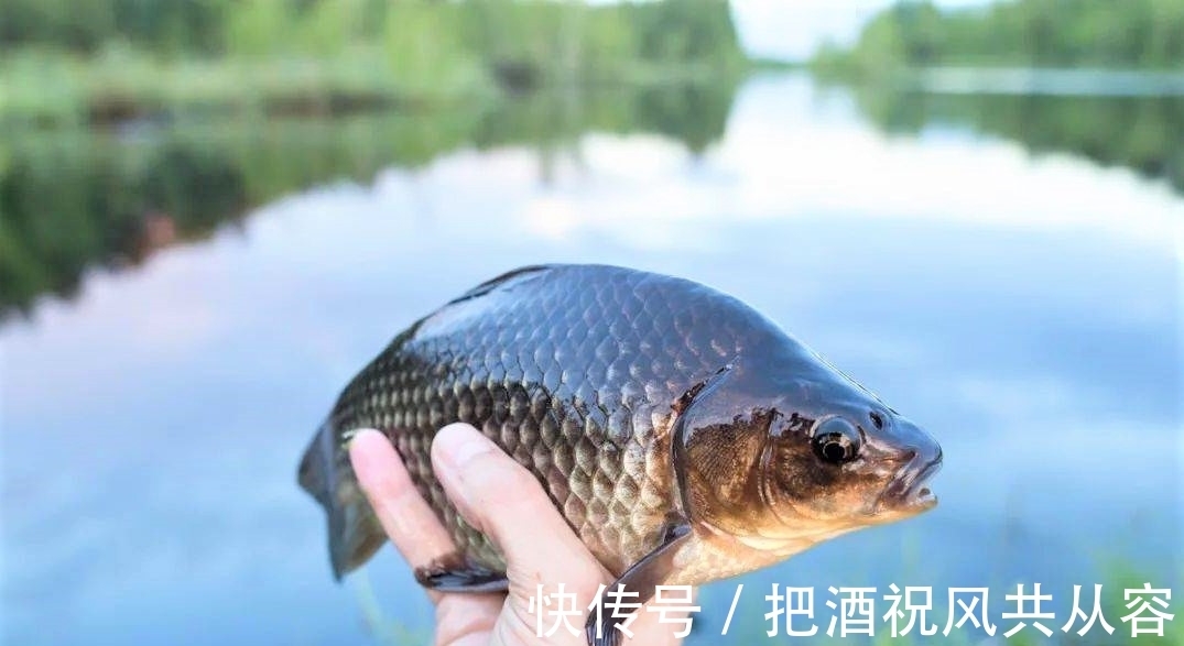 秋天钓鱼与夏季钓鱼有什么不同?通过这几方面的改变,不爆护都难
