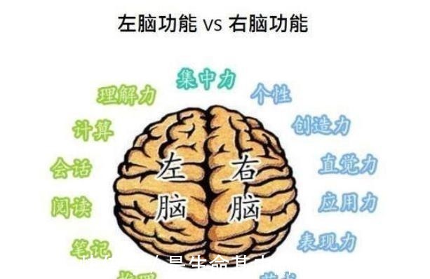 关键期|6岁之前是右脑开发关键期,做好3件事,孩子一天比一天聪明