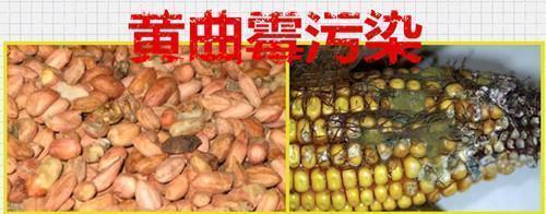 肝癌|28岁肝癌晚期,母亲欲割肝救子,如果能重来,一定要远离这3物