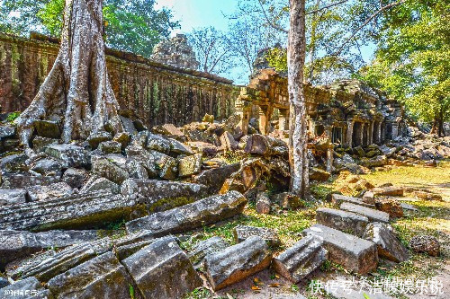 高棉|柬埔寨最大高棉古寺，荒废遗迹被“蟒蛇树根”缠绕，今成热门景点