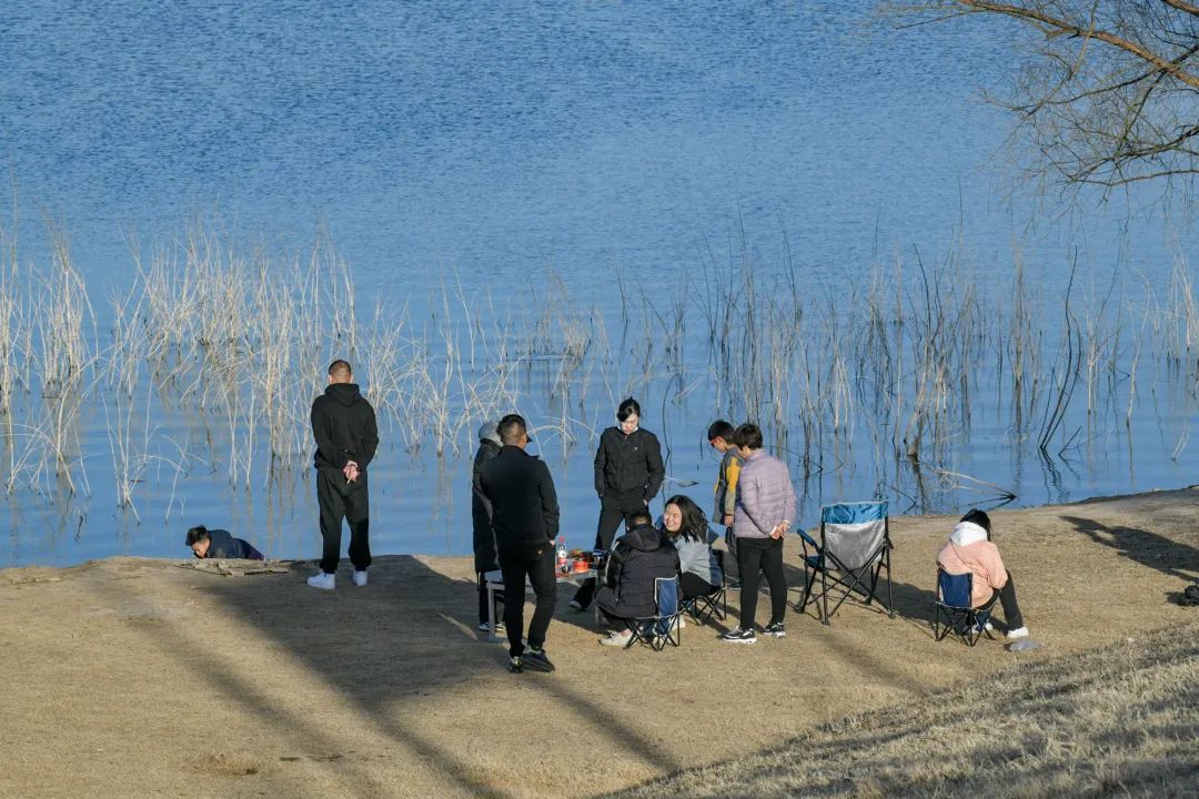 郑州|春暖花开春游时！郑州黄河湿地公园春意盎然，不少市民前来踏青游玩