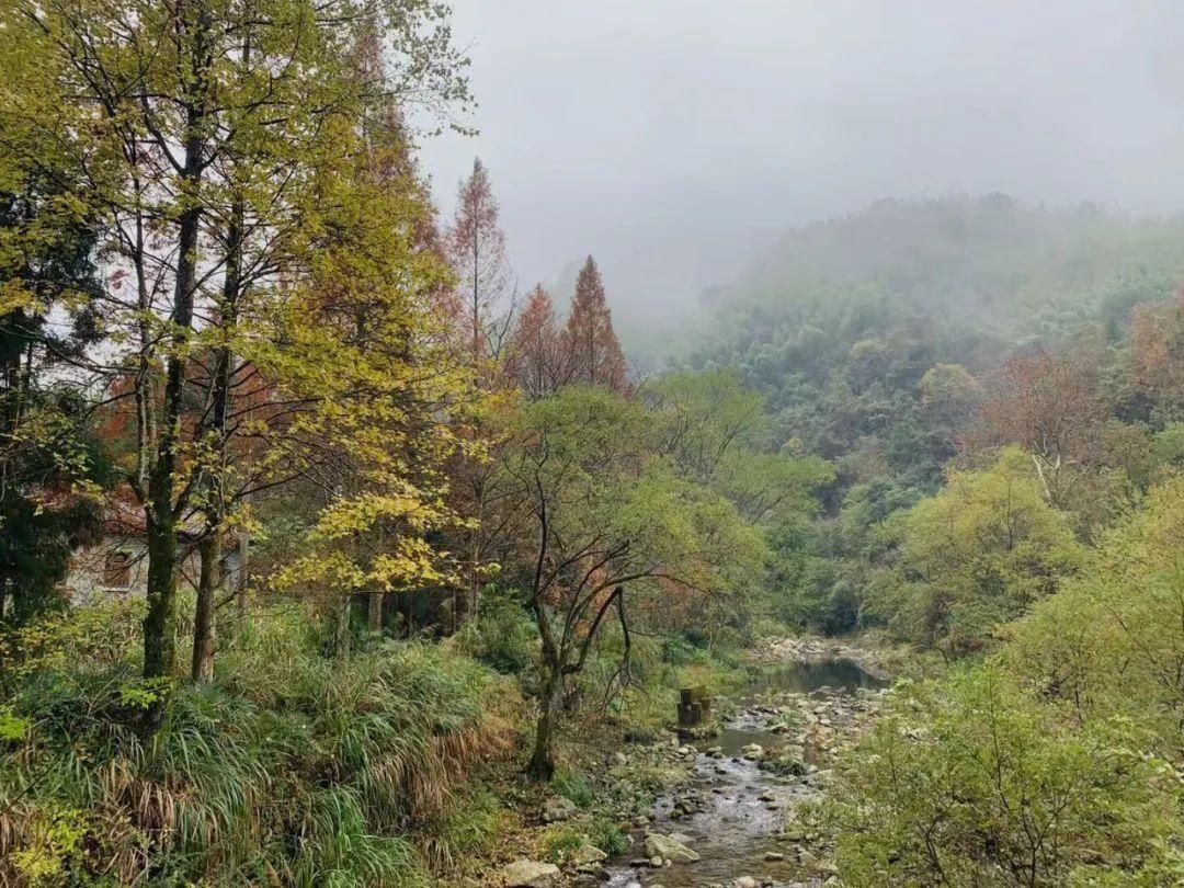  煲都画乡 康养黎川|CNT目的地 | 黎川