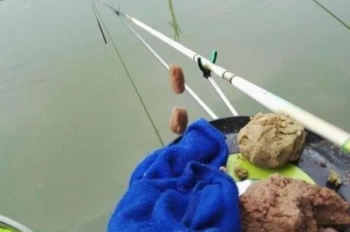 黄豆粉|钓鲤鱼唯独这饵才靠谱,刚下竿就有口
