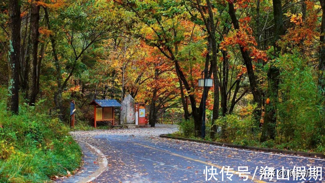 秋天|秋景雪景争相斗艳！洛阳白云山迎来今年秋天的第二场雪