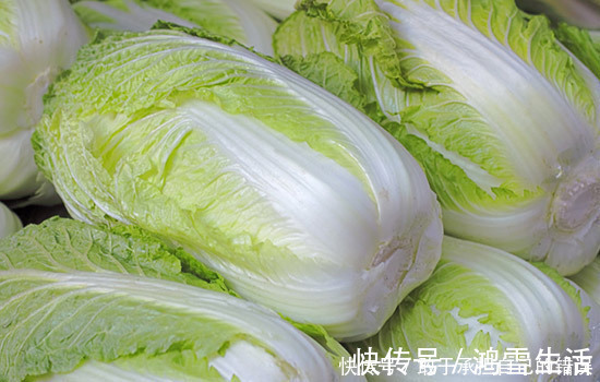 含有|2块一斤的“大白菜”,“最便宜”的养生食材,具有的好处太多