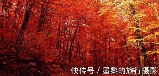 孟浩然!与山有关的10大名诗排行榜,李白《独坐敬亭山》仅第四,前三呢?