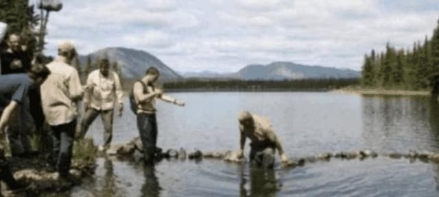  节目|号称站在“食物链最顶端的男人”贝爷，为何还要专业的救助人士？