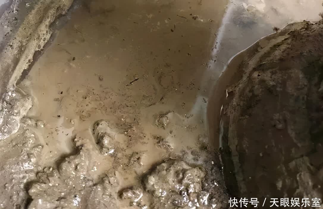 养花用了哪些土壤要早点换掉,旧土该怎么处理好?