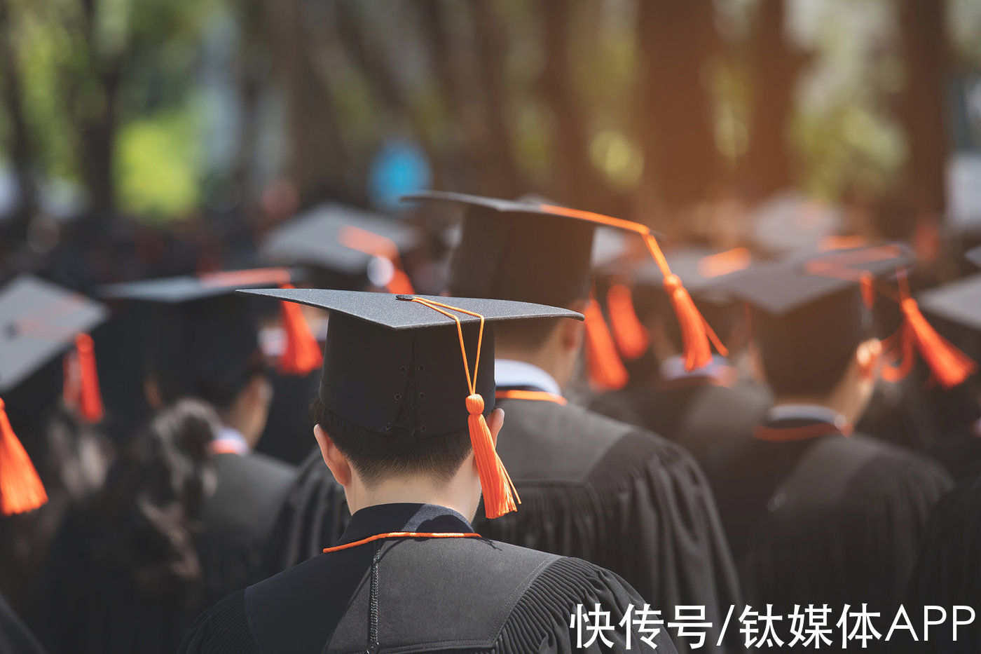 侵权|知网败诉后下架侵权文章，但有违平台学术传播初衷