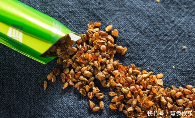 “黑苦荞”和“黄苦荞”有什么区别营养差别大,可别再乱买了