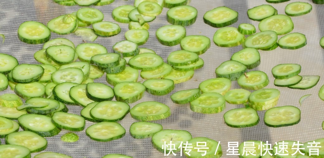 茄瓜|入秋后，6种瓜多晒点，晒干后比新鲜的好吃，冬天不用买菜了！