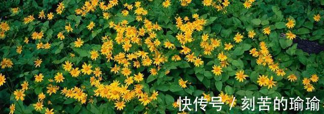 寇准$古人智慧15个机智又有趣对联故事！