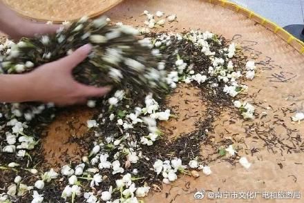 舌尖|舌尖上的非遗——横县茉莉花茶